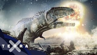 Woran genau starben die Dinos  Terra X [upl. by Turtle]