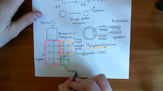 Single Photon Emission Computed Tomography SPECT Part 2 [upl. by Grim]