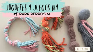 DIY juguetes y juegos para perros [upl. by Frieder]