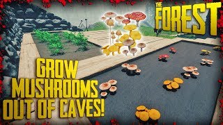 HOW TO GROW MUSHROOMS OUT OF CAVES v071  The Forest [upl. by Pence]