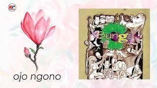 Bunga Band  Ojo Ngono Official Audio [upl. by Lemrahs29]