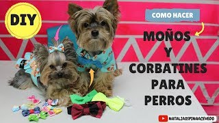 Como hacer moños y corbatines para perros  DIY Mascotas [upl. by Ahsinid512]