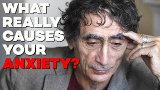 What The REAL Cause Of Your Anxiety Is  With Dr Gabor Maté [upl. by Dnomaid]