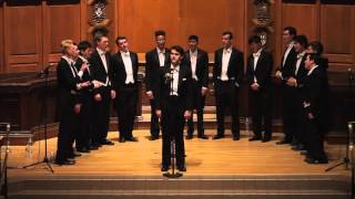 Cant Help Falling in Love  The Yale Whiffenpoofs of 2016 [upl. by Brendan]