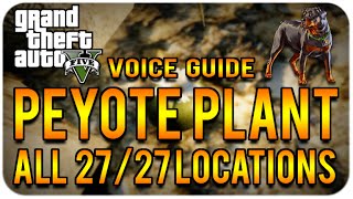 GTA 5 XboxOnePS4 quotAll 27 Peyote Plant Locationsquot COMPLETE GUIDE Step By Step Voice Tutorial [upl. by Tikna]