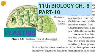 Class 11 Biology Ch8Part10PlastidsStudy with Farru [upl. by Joktan]