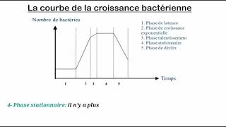 La croissance bactérienne [upl. by Werdnael263]