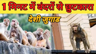 1 मिनट में बंदरों से छुटकारा🐒  bandar bhagane ka Desi jugad  bandar bhagane ka tarika  Desi jugad [upl. by Faden492]