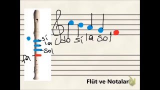 Flüt Dersi 1 Üzerinde Notaların Gösterimi Berk YAYMAN [upl. by Idok360]