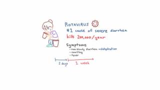 Rotavirus  Epidemiology Clinical Presentation and Prevention [upl. by Haisej]