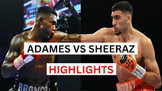 Hamzah Sheeraz vs Carlos Adames Highlights amp Knockouts [upl. by Tewfik]