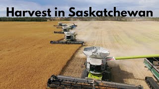 Harvest in Saskatchewan  2020 4K [upl. by Rolecnahc]