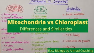 Mitochondria VS Chloroplast  Differences and Similarities [upl. by Enajharas]