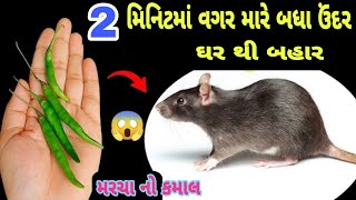 માર્યા વગર ઉંદર ભગાવો આ ઘરેલુ ઉપાયથી😱How to Get rid of mouse  chuhe bhagane ka tarikaCleaning tips [upl. by Verda739]