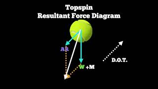 Magnus Effect  Fluids  JEE 2023 Concept  Physics [upl. by Dearden]