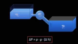 Hydrostatic Pressure Fluid Mechanics  Lesson 3 [upl. by Aihn]