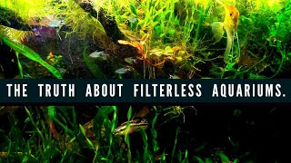 Creating A FILTERLESS AQUARIUM Using Anoxic AND Aerobic Bacteria How to Setup A Natural Fish Tank [upl. by Nicolas]