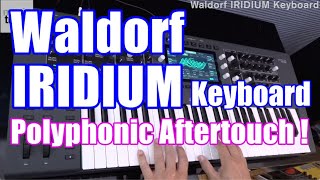 Waldorf IRIDIUM Keyboard Demo amp Review [upl. by Nahraf]