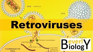 Retroviruses [upl. by Hu]