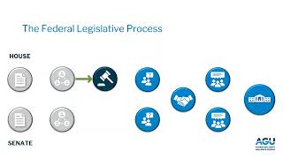 From Bill to Law The US Legislative Process [upl. by Jaclin]