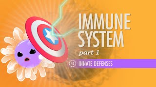 Immune System Part 1 Crash Course Anatomy amp Physiology 45 [upl. by Carolann573]