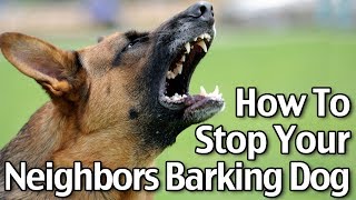 How To Stop Your Neighbor’s Dog From Barking  Short Version [upl. by Adnolat]