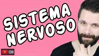 SISTEMA NERVOSO  FISIOLOGIA  Aula  Biologia com Samuel Cunha [upl. by Vanhomrigh]