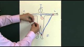 12 Lead EKG ECG [upl. by Luanni396]