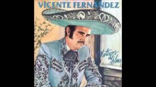 AUNQUE ME DUELA EL ALMA  VICENTE FERNANDEZ FULL AUDIO [upl. by Fedirko]