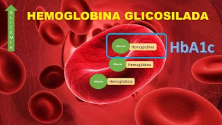 Hemoglobina Glicosilada HbA1c [upl. by Nelubez155]