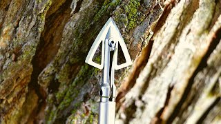 Bloodsport Gravedigger Broadhead Review [upl. by Zephaniah]