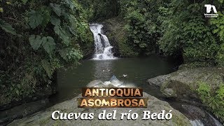 Antioquia Asombrosa Cuevas del río Bedó  Teleantioquia [upl. by Enaillil]