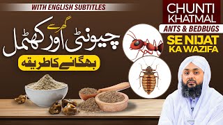 Chuntion Ants Or Khatmal Bedbugs Ko Bhagane Ka Tarika  Keery Makoro Se Nijat  Wazifa [upl. by Nomal58]