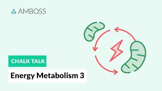 Energy Metabolism  Part 3 Regulation of Glycolysis [upl. by Ondine]