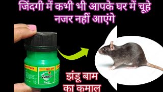 बिना दवाई झंडू बाम से चूहे भगाने का घरेलू तरीका 😱 rid of mouse chuhe bhagane ka tarika [upl. by Ahsinan756]