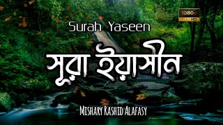 সূরা ইয়াসীন॥Surah YaseenYasin॥Mishary Rashid Alafasy [upl. by Sheng718]