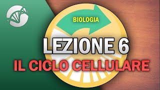 BIOLOGIA  Lezione 6  Il Ciclo Cellulare [upl. by Yseulta612]