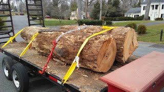 Loading HEAVY Oak Logs  One Man Alone [upl. by Lolita328]