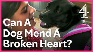 Dog Helps Mend A Broken Heart  The Dog House [upl. by Crissie]