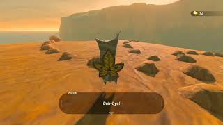 Korok seeds  Spectacle Rock  Wastland Tower 11  Zelda BOTW [upl. by Gilchrist]