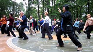 Yang Style Tai Chi for Beginners  Section 1 [upl. by Ylrebnik]