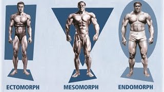 Ectomorph Endomorph Mesomorph How To Train amp Eat For YOUR Body Type [upl. by Annoyt]