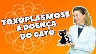 Toxoplasmose  O Que é Sintomas Causas e Tratamento [upl. by Levan]