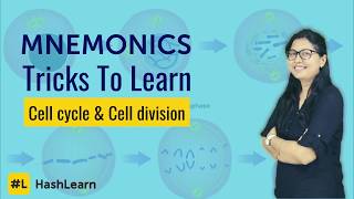 Mnemonics to remember Cell Cycle amp Cell Division [upl. by Ahsea]