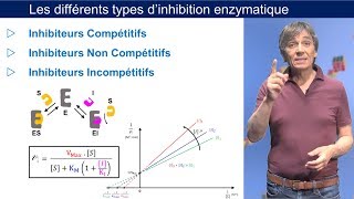 Les différents types dinhibiteurs [upl. by Arramahs]