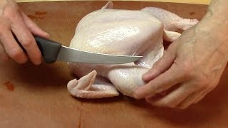 How To Cut Up a Whole Chicken [upl. by Leehar]