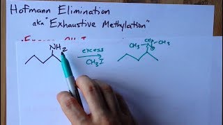 Hofmann Elimination Amine to Alkene aka Exhaustive Methylation [upl. by Netnilc]