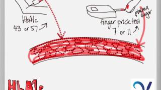 HbA1c explained [upl. by Viv641]