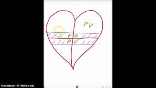 Easy Ways to Remember Heart Embryology derivatives [upl. by Calen74]