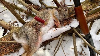 Rabbit Hunting Tips for Beginners [upl. by Cogswell]